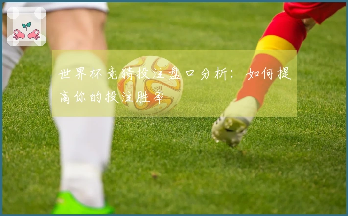 世界杯竞猜投注盘口分析：如何提高你的投注胜率