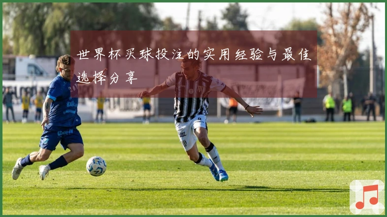 世界杯买球投注的实用经验与最佳选择分享