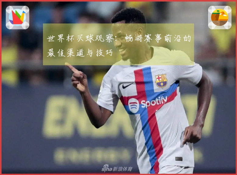 世界杯买球观察：畅游赛事前沿的最佳渠道与技巧
