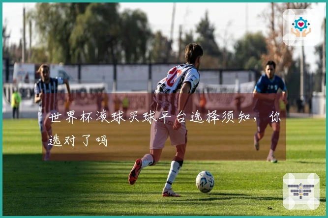 世界杯滚球买球平台选择须知，你选对了吗