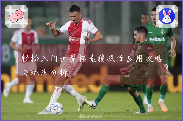 轻松入门世界杯竞猜投注应用攻略与玩法分析