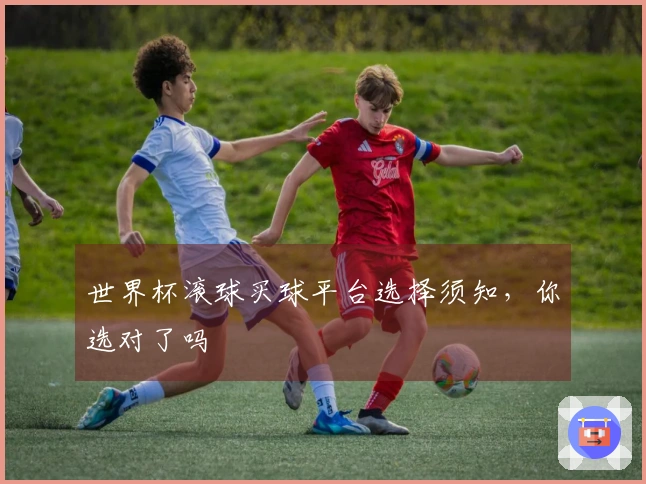 世界杯滚球买球平台选择须知，你选对了吗