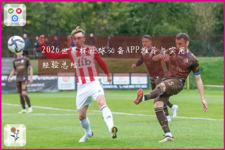 2026世界杯让球必备APP推荐与实用经验总结