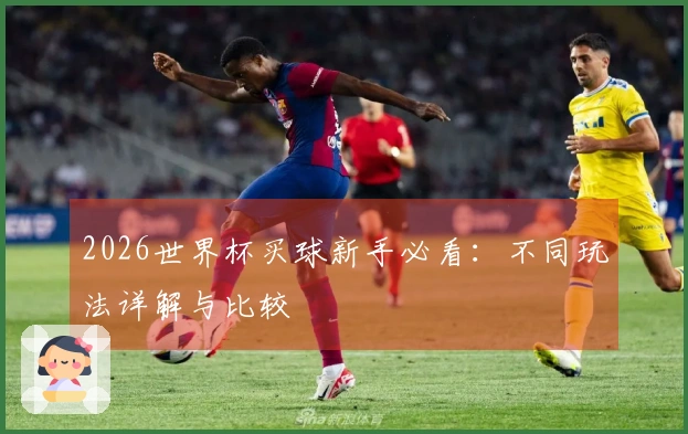 2026世界杯买球新手必看：不同玩法详解与比较