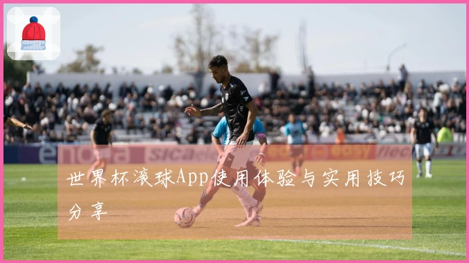 世界杯滚球App使用体验与实用技巧分享