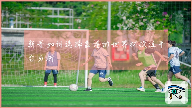 新手如何选择靠谱的世界杯投注平台分析