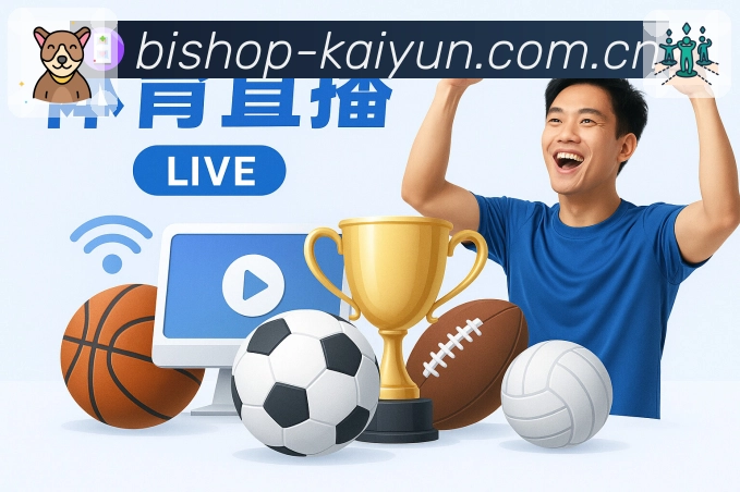 多媒体互动体验